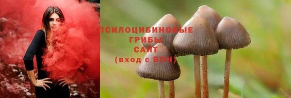 героин Алзамай