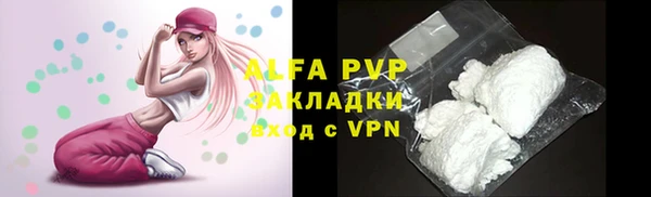 винт Алексин