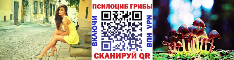 Псилоцибиновые грибы Psilocybine cubensis  blacksprut ссылки  Кемерово 